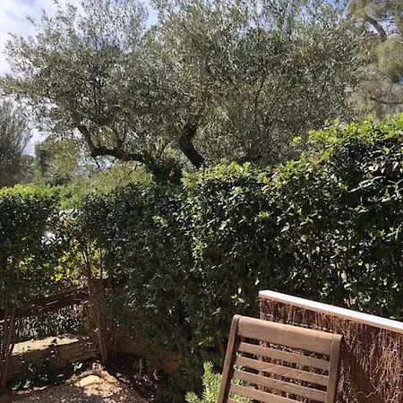 Ciot'amour, Ca Vaut Le Detour ! La Ciotat